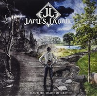 Labrie - Beautiful Shade Of Grey - Vinyl Record Lp - G1398Z