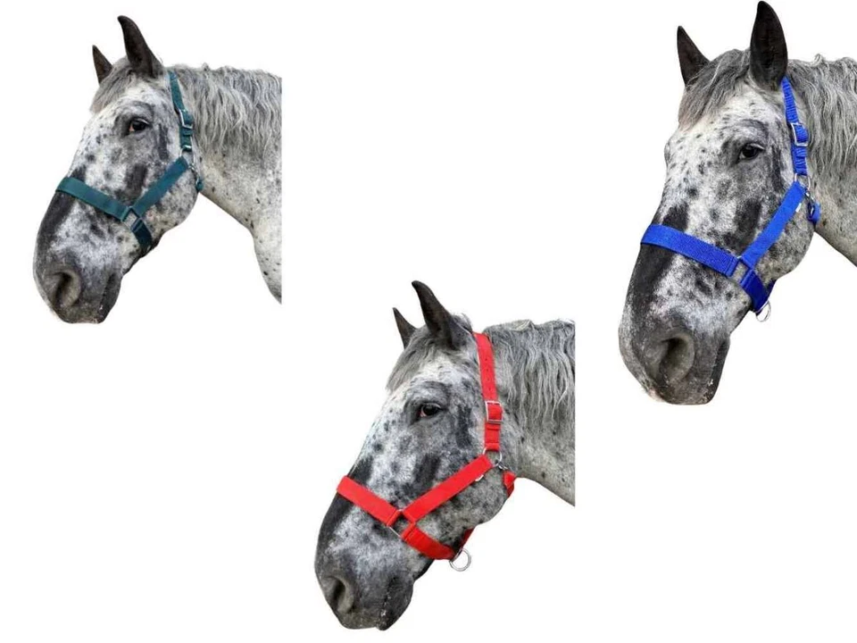 WEISSL Kaltbluthalfter X-Treme, extra stark - Bild 4 von 4