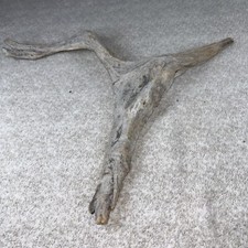 14" Natural Driftwood; Snake, Lizard, Reptile, Air Plant Terrarium