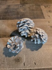 Glitter silver white frosted pine cone set ornament xmas