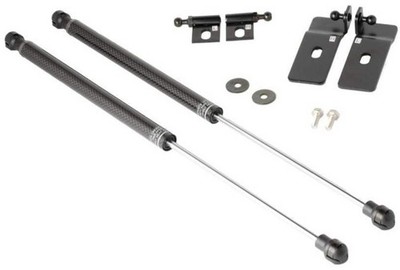 Tomioka Racing Carbon Hood Dampers for Subaru BRZ / Toyota GR86 (2022+)