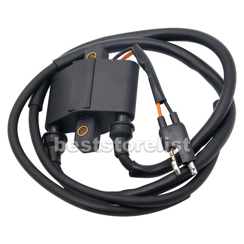 4010898 Ignition Coil Module Fits 2004 -2006 Polaris ATV Sportsman 600 700 Twin - Picture 7 of 8