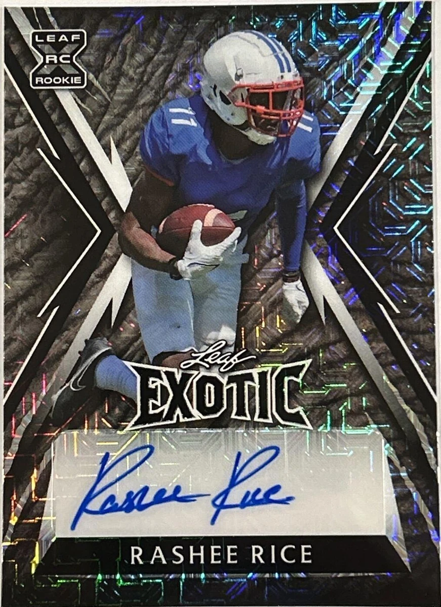 激レア！希少！rice ライス 初期 Air′s Rock会報15 櫻井有紀 村田一弘