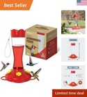 Vibrant Red Hummingbird Feeder - 10 Oz Weather-Resistant Glass with 5 Ports