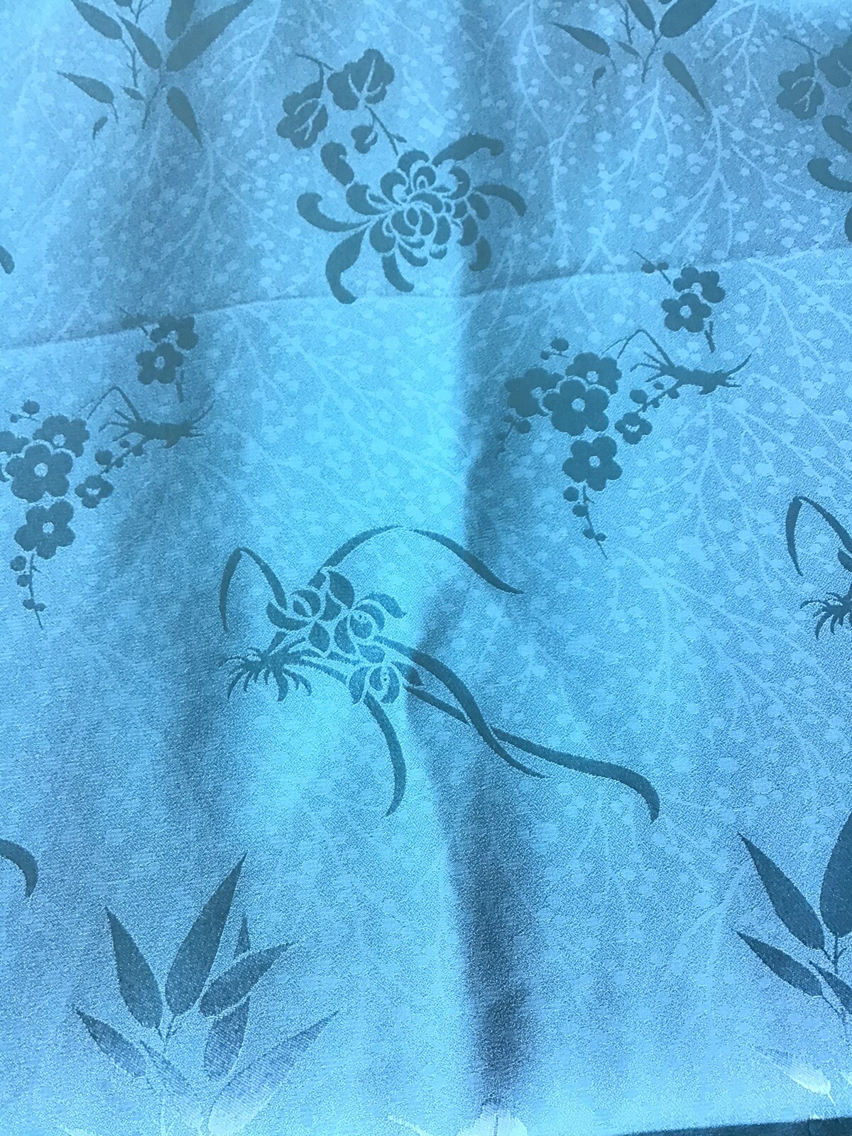 Picture 6 of 10