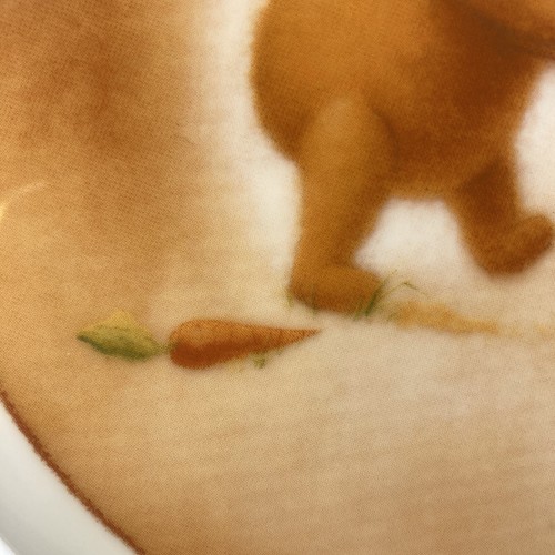 POOH'S GARDEN PLATE ENDLESS DAYS OF SUNSHINE DISNEY COLLECTIBLE 11" DINNER SIZE - Picture 3 of 8