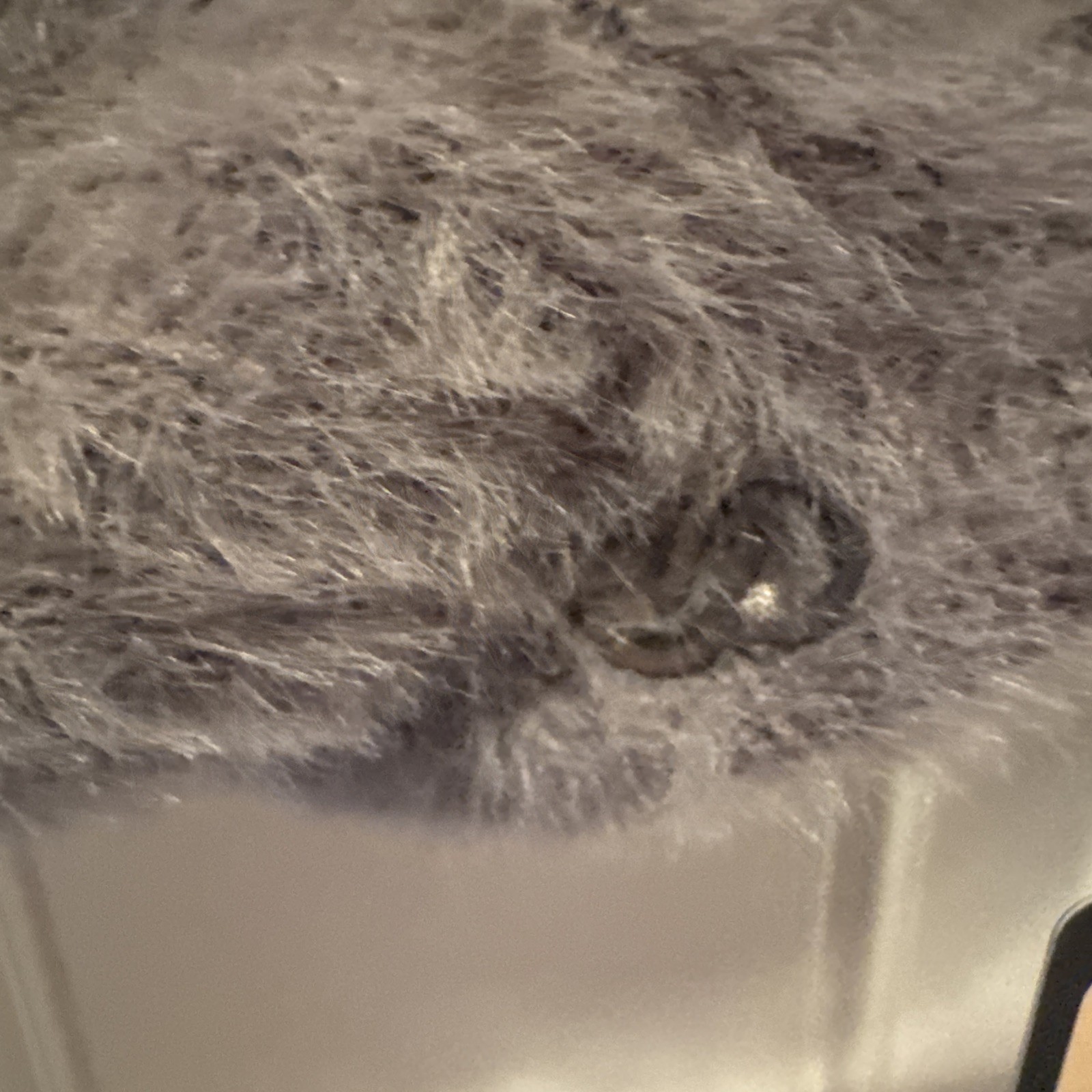 Calia Fuzzy Snood Tubular Scarf