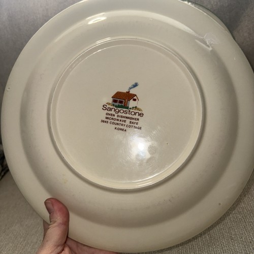 Villeroy & Boch SET Piatti in porcellana Sangostone 10,5"~Casa di campagna~Vintage - Foto 4 di 8