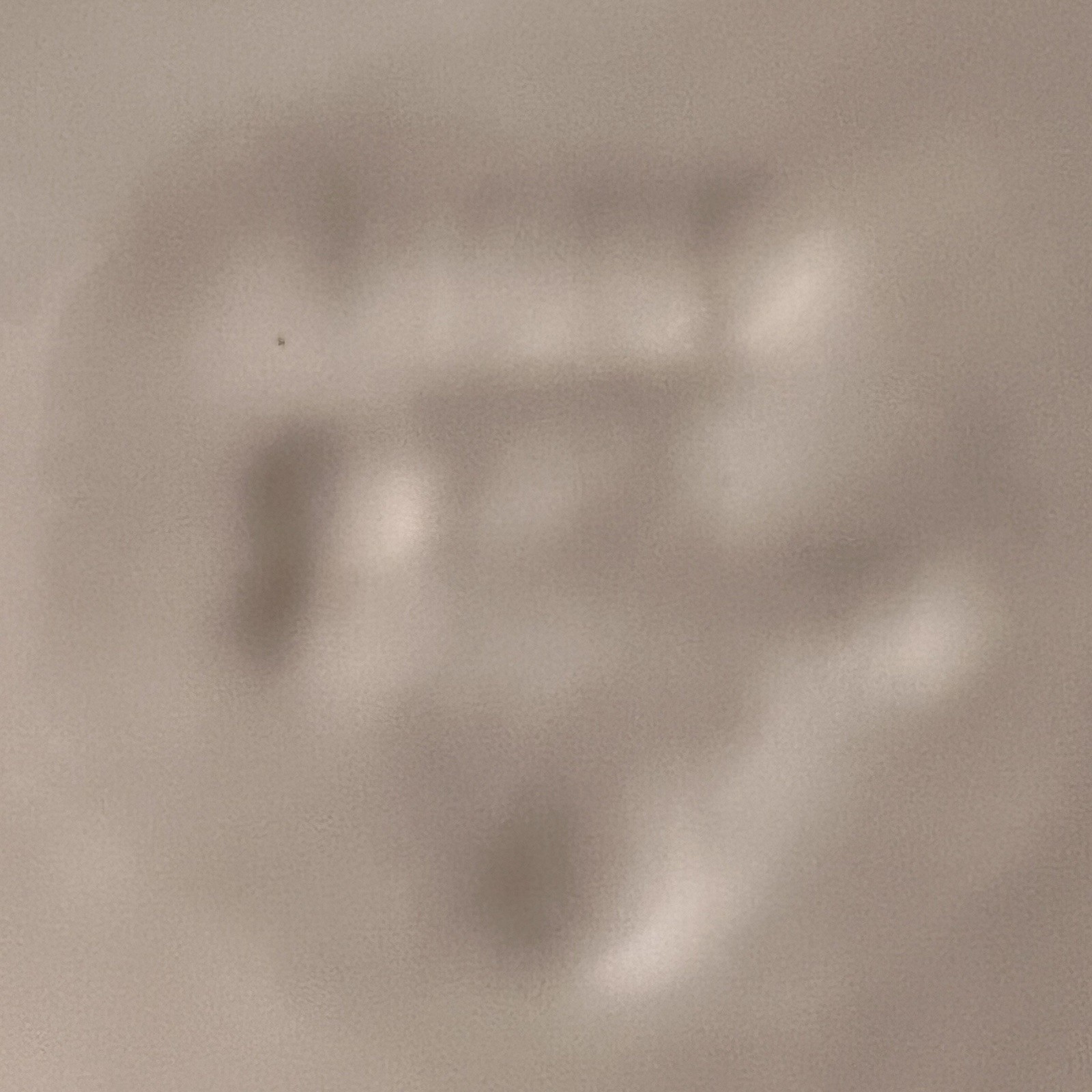Picture 5 of 5