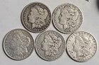 5 Morgan Silver Dollars - 5 Coin Lot - SKU20