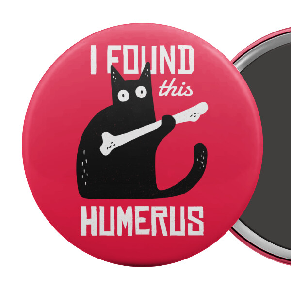 I Found This Humerus Fridge Magnet Funny Black Cat Australia