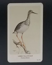 General Cigar Company Trading Card - No. 14 Lesser Yellowlegs- Card 2