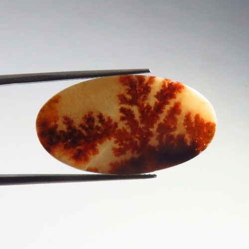 Natural Shazar Dendrite Gemstone 29x16mm Smooth Oval Scenic Agate Cabochon SA-80 - Picture 6 of 11