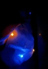 Disney Cinderella w/Light up Dress and feet, music,2004, Batteries Included — photo 3
