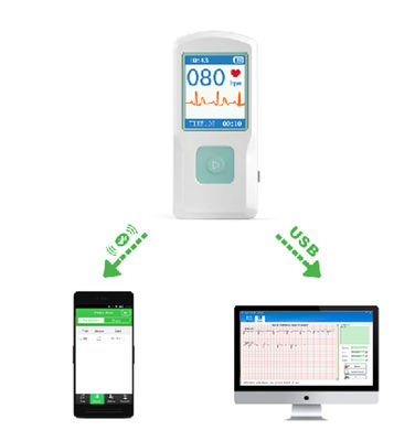 Portable ECG EKG Machine with USB,Heart Beat Monitor,Bluetooth,LCD ...