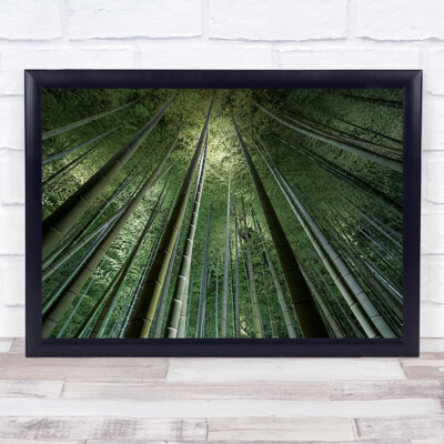 Bambus Nacht Spa Zen Laub Perspektive Bäume Wald Asien Wandkunstdruck
