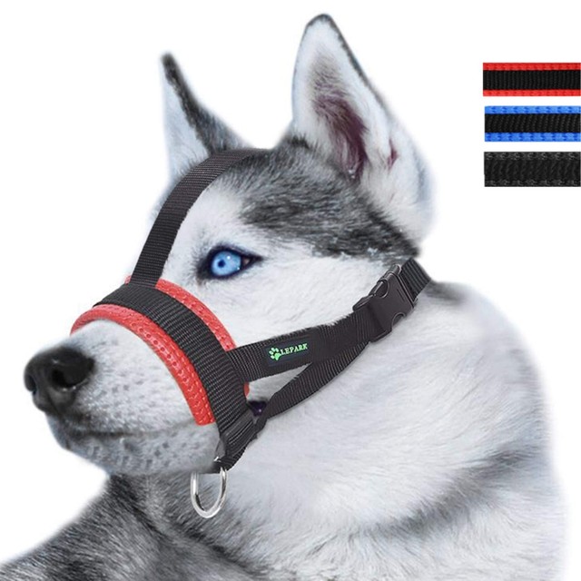 Muzzle Overhead Strap / Head Harness Add-On
