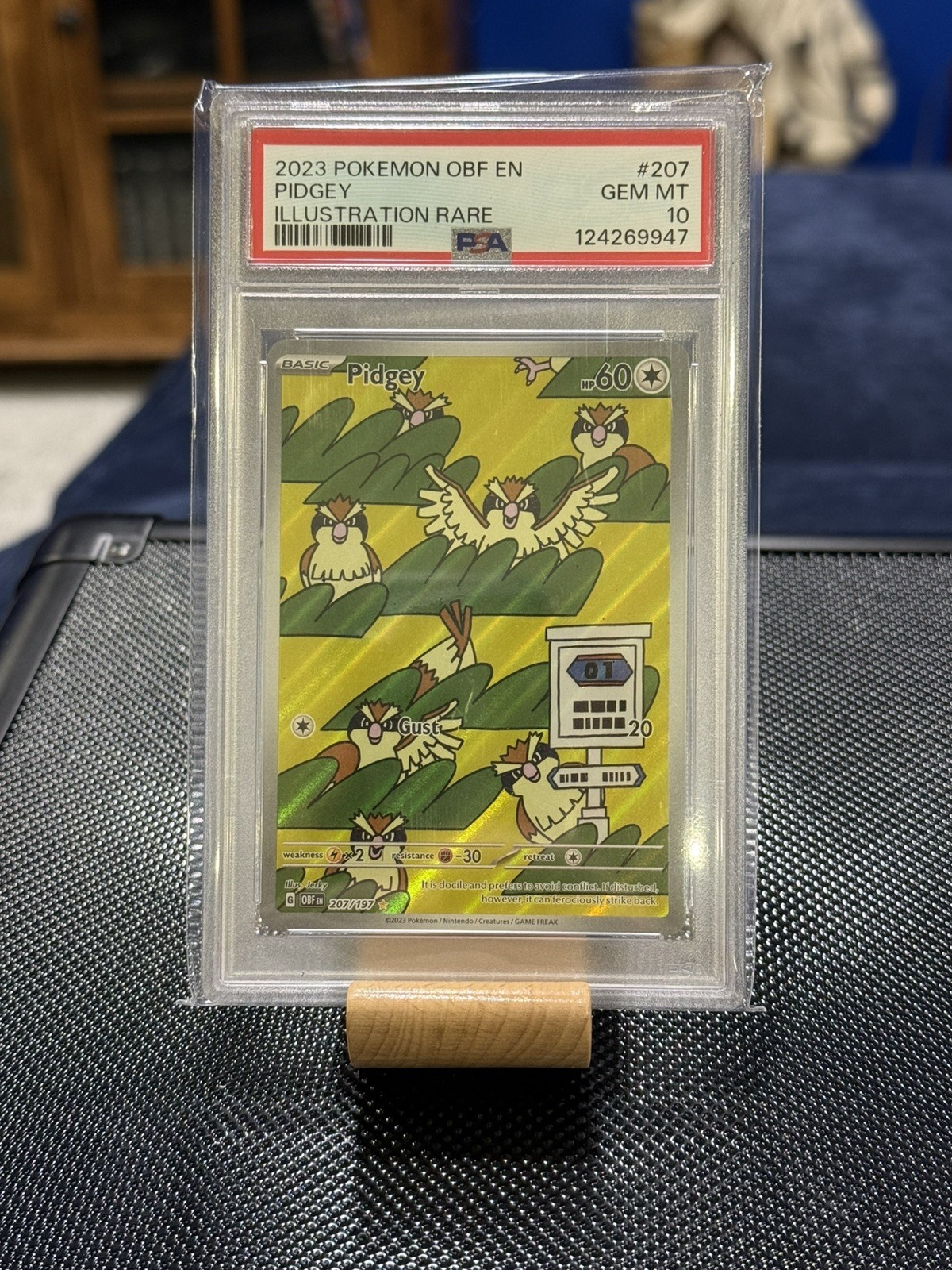2023 POKEMON OBF EN-OBSIDIAN FLAMES #207 PIDGEY ILLUSTRATION RARE PSA 10