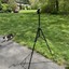 Picture 5 of 6