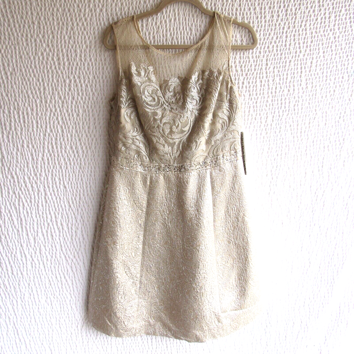 only lace dress COOL GIRLS ONLY LACE FUR MINI DRESS – AKIRA main image 0
