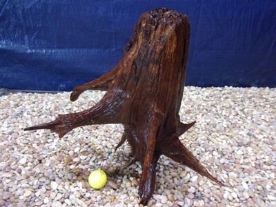 Large Driftwood 18''x16''x13''  Aquarium Terrarium Reptile Natural Art