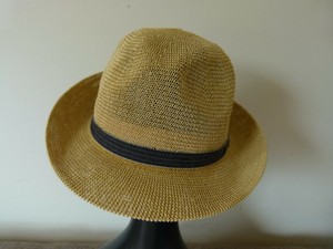 bailey of hollywood poet