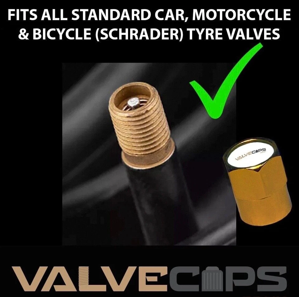 Empi Tapas de vástago de válvula para ruedas VW Beetle Van tipo 1 2 bus Karmann Ghia 4 5 Lug Foto 3 de 4