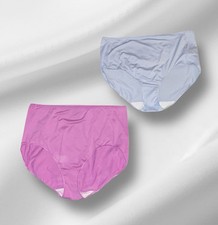Lot of 2 HANES Blue  Pink High Waisted Silky Soft Granny Panties 10/3XL NWOT