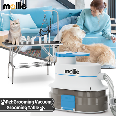 Cat Grooming Table: Essential Tips for Pet Owners