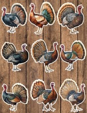 Thanksgiving Turkey Die Cut Vinyl Stickers Set Scrapbooking Laptop Waterbottle