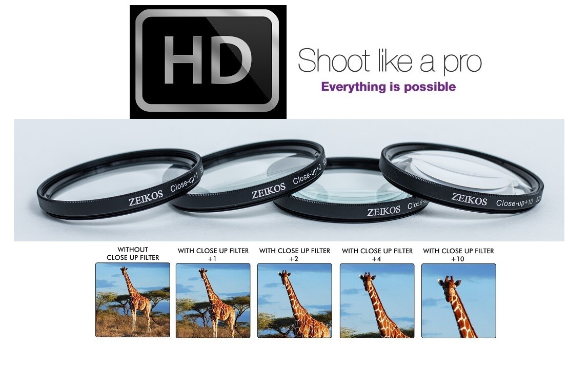 Quel objectif macro choisir ? - Apprendre la Photo