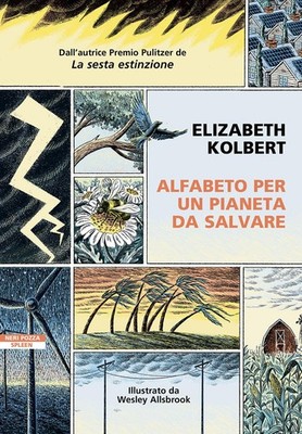Wesley Allsbrook Scilla Forti Eliz Alfabeto per un piane (Paperback) (UK IMPORT)