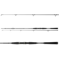 Daiwa Seahunter X 2,70M 40-120G Pilkrute Meeresrute
