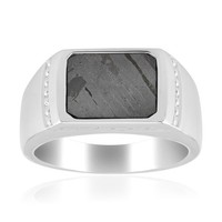 Cavill Herren Ring Meteorit 1,496Ct Oktagon Design Schlicht Sterlingsilber 925