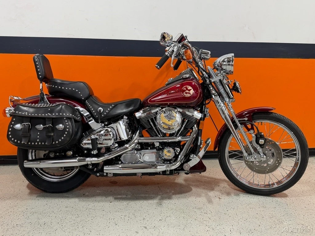Harley-Davidson Softail 1994 Motorcycles for sale | eBay