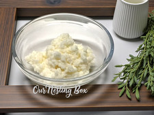 Kefir Grains live active from whole milk with instruction card 1 tablespoon