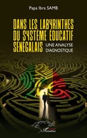 Dans Les Labyrinthes Du SystèMe éDucatif SéNéGalais Une Analyse Diagnostique