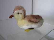 Steiff 1968 Swimming Duck Entenkuken Dralon All ID 3190,10 Very Nice 10cm 4"