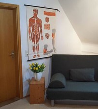 Schulwandkarte Poster Rollbild Medizin Anatomie Mensch Muskulatur Lehrtafel