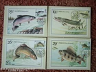 PHQ Cards FDI Front No 65 British River Fishes 1983. 4 card set. Mint Condition.