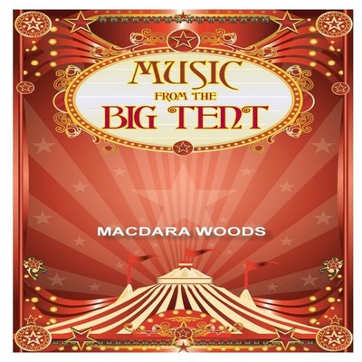 Music From The Big Tent Macdara Woods Paperback Dedalus Press