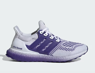 NEW ADIDAS Women's Ultraboost 1.0 Shoes IH7313 Sneakers HQ4207