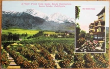 Loma Linda, CA 1920s Postcard: View from Sanitarium - California Cal