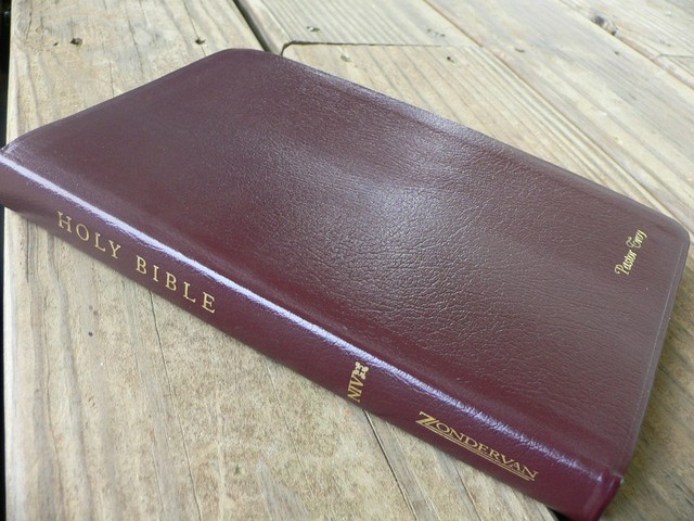 niv-thinline-bible-by-zondervan-staff-2005-leather-for-sale-online