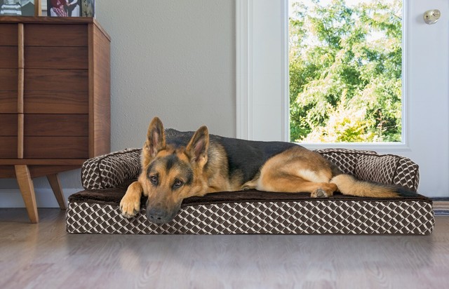 arlee memory foam dog bed