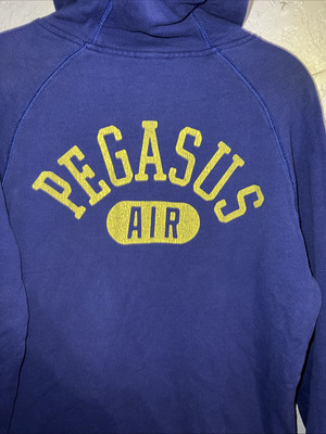 nike pegasus hoodie