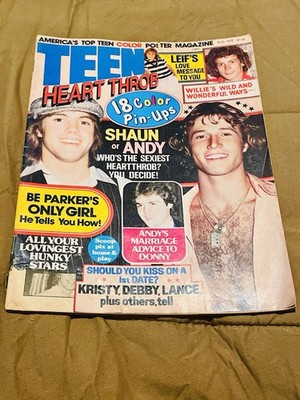 8/78 August 1978 Teen Heart Throb magazine Andy Gibb Donny Osmond Willie Aames