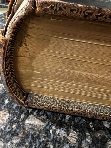 1884 Douay-Rheims Holy Bible ~ Gold Leather, Gilded Edges, Rare Edition - Picture 4 of 24