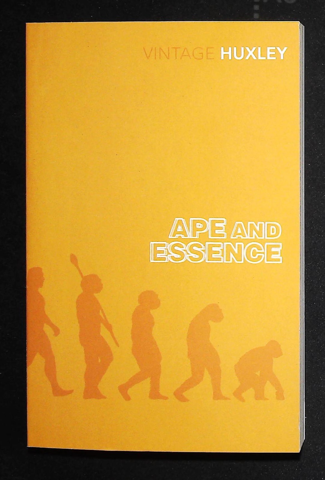 Ape and Essence by Aldous Huxley Book NEW Paperback