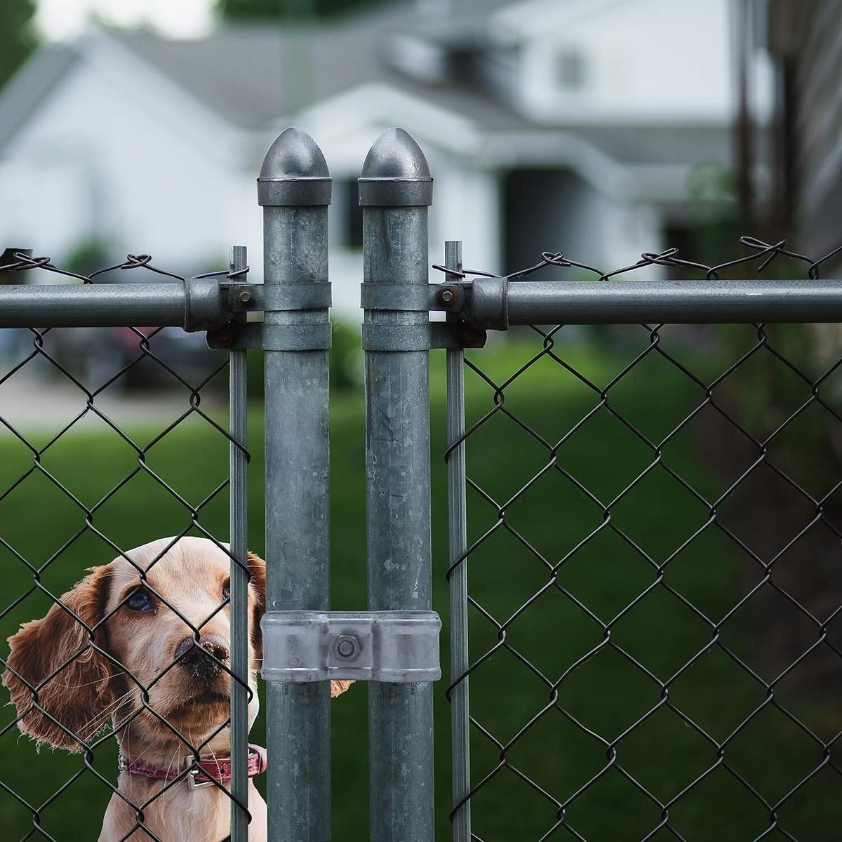 Lucky Dog Chain Link Fence Panels For Dog Kennels Chain Link Fence Panels  Modular Dog Fence